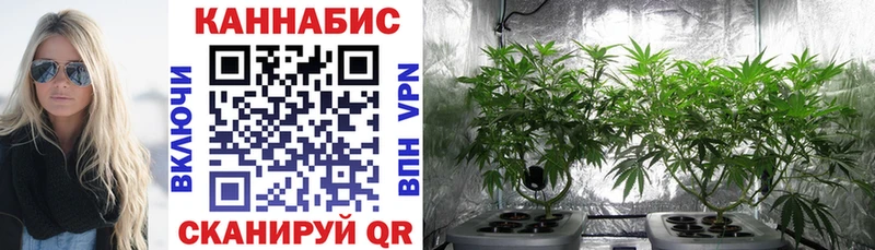 Магазины продажи наркотиков Томари МАРИХУАНА Меф мяу мяу Бутират ГАШ Амфетамин COCAIN Alpha-PVP